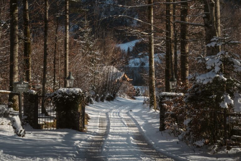 Parked winter driveway