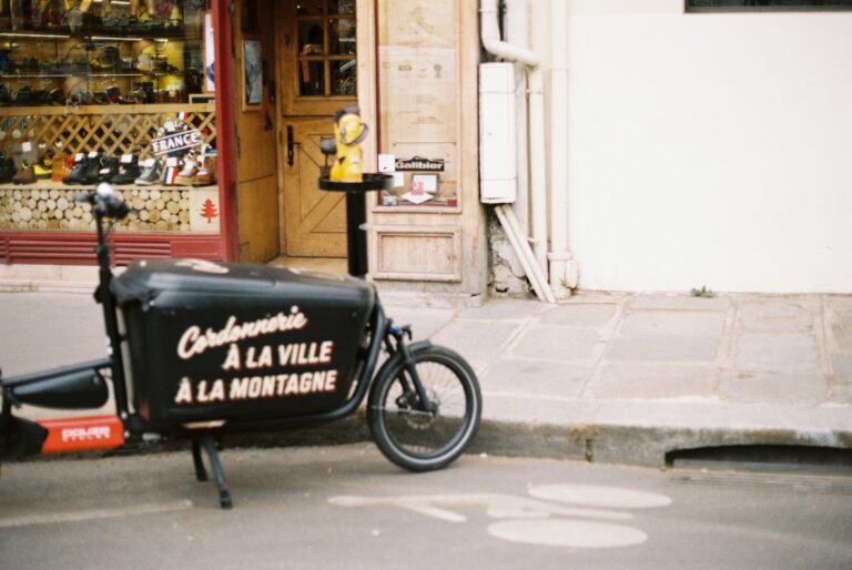 Electric cargo bike