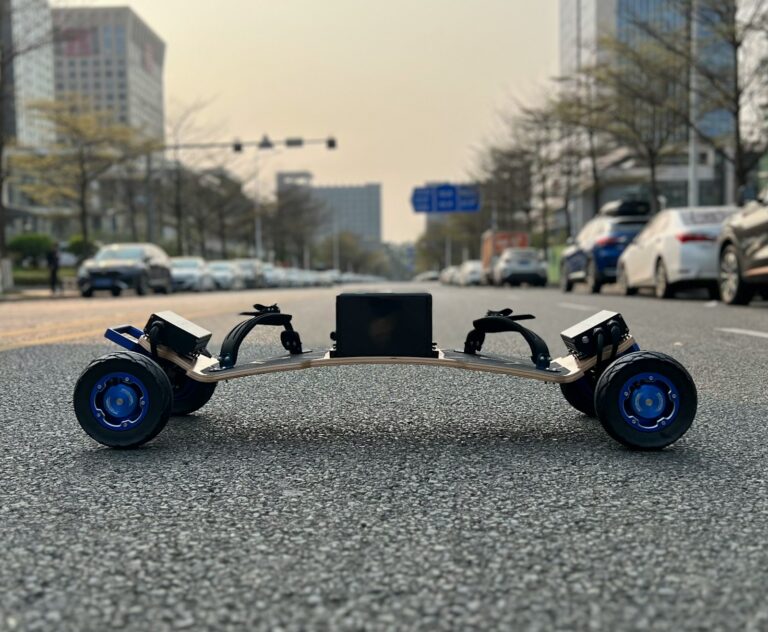 Electric vehicle dual