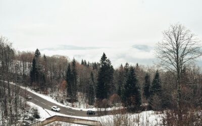 Why EV energy use is so different in winter and summer